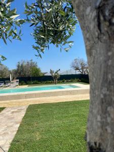 a swimming pool in a park with a tree at B&B CASA CALETA in Porto Cesareo