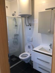 La salle de bains est pourvue de toilettes et d'un lavabo. dans l'établissement Apartments Sandro, à Sali