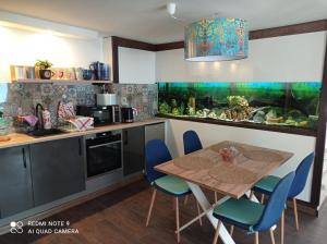 kuchnia ze stołem, niebieskimi krzesłami i wędką w obiekcie Apartamenty Sowianka w mieście Ludwikowice Kłodzkie