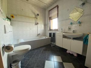 Ένα μπάνιο στο Ferienwohnung Bock im Seenland +15 φωτογραφίες