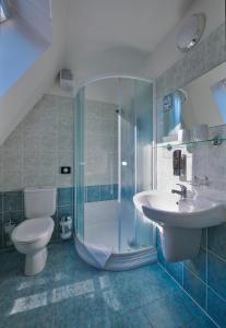 ein Bad mit einer Dusche, einem Waschbecken und einem WC in der Unterkunft Hotel Mezní Louka in Hřensko