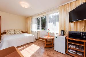 1 dormitorio con 1 cama y TV de pantalla plana en Vila Krantas, en Palanga