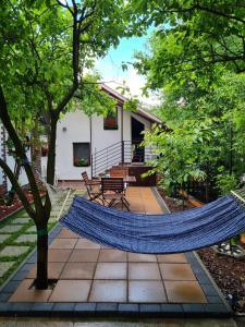 a hammock in the middle of a garden at Cozy house with nice garden in heart of city center in Cluj-Napoca