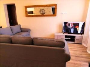 a living room with a couch and a flat screen tv at Magnifique Villa a Tourbes proche du Cap d Agde in Tourbes
