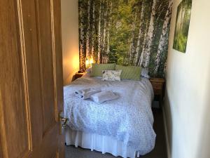 Photo de la galerie de l'établissement Ty'n y Gwynt, à Criccieth 17 autres photos