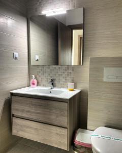 a bathroom with a sink and a toilet at Conest Vision Studio in Iaşi