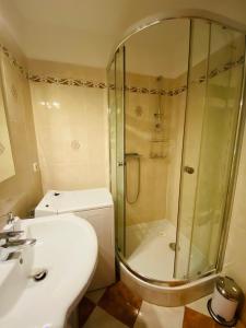 a bathroom with a shower and a toilet and a sink at Fewo Dresden Zentrum Nähe Hauptbahnhof in Dresden