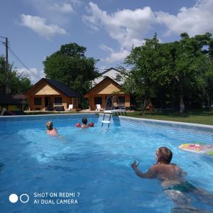 a group of people swimming in a swimming pool at Domki na lipowej in Pastwiska