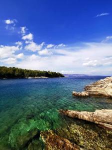 Imagen de la galería de Apartments Lošotovi Vrboska, en Vrboska