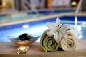 Bazén v ubytovaní Hotel Villa Völgy Wellness & Konferencia alebo v jeho blízkosti