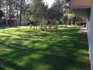 un patio con un perro parado en el césped en Barca Golf House, en Esposende