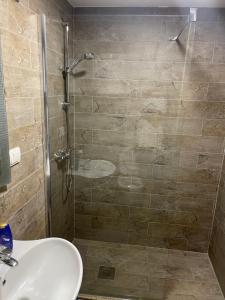 y baño con ducha y lavamanos. en Ribnica en Podgorica