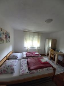 a bedroom with two beds and a table in it at House Veljko in Vrhovine