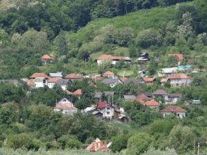 un pueblo en una colina con casas y árboles en Pensiunea Lacul Albesti, en Albeştii Pămînteni