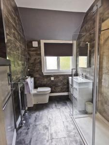 a bathroom with a toilet and a sink at The Knowe Guest House in Callander