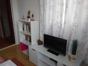 Televízia a/alebo spoločenská miestnosť v ubytovaní Apartment Nebo