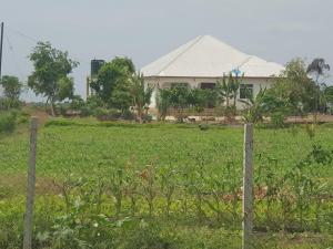 Κήπος έξω από το Paje Farm House