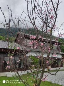 Gallery image of Yingxi Pavilion Homestay in Xiulin +29 photos