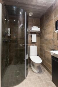 a bathroom with a toilet and a shower at Ranua Resort Arctic Igloos in Ranua