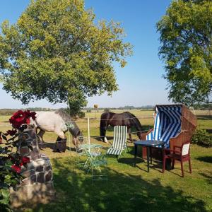 two chairs and a horse grazing in a field at Wolkenlos in Insel Poel