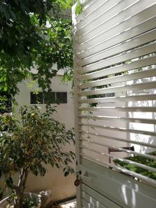 a window with blinds on it next to a tree at lo zahir in Marina di Ragusa