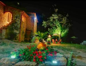A garden outside Agriturismo Podere Le Palaie