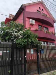 a pink house with a black fence and flowers at Vila Mihai in Năvodari