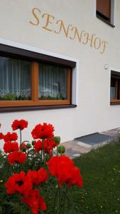 Fotografie z fotogalerie ubytování SennHOF Lechtal v destinaci Bach