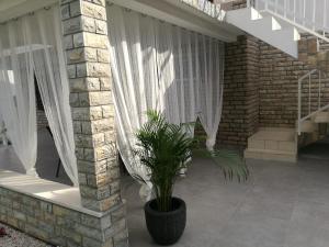 Fotografie z fotogalerie ubytování Apartments KUS Ugljan v destinaci Ugljan