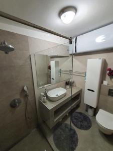 a bathroom with a sink and a toilet and a mirror at Apartment Sara in Umag