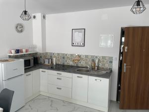 Kuchyň nebo kuchyňský kout v ubytování Apartament Maja na Spokojnej + 18 fotografií