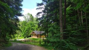 une petite cabine au milieu d'une forêt dans l'établissement Bieszczady Domek Nad Stawem, à Lesko