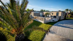 a house with a palm tree in front of it at M&V Resort Camping in Langrune-sur-Mer