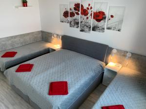 a bedroom with two beds with red pillows on them at Kellerův mlýn - Apartmán s vlastní garáží, Znojmo centrum in Znojmo