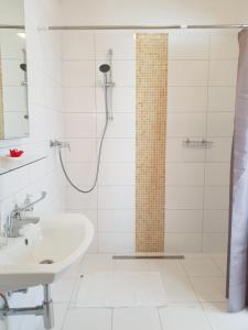 a bathroom with a shower and a sink at Villa Heuréka in Gárdony