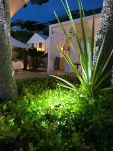A garden outside Bettola del Re home boutique b&b