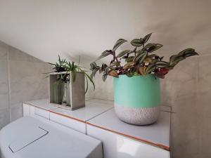 twee potplanten bovenop een toilet bij Rose 8 Bled in Bled +91 foto's