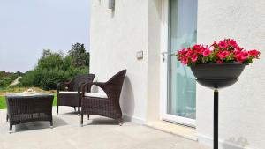 a patio with chairs and a planter with flowers at Sole Matto Rooms in Olbia