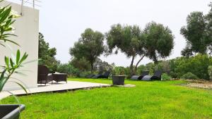 a group of chairs sitting in a grass field at Sole Matto Rooms in Olbia