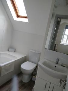 een badkamer met een toilet, een wastafel en een spiegel bij 43 Reidhlean Clifden Glen in Galway