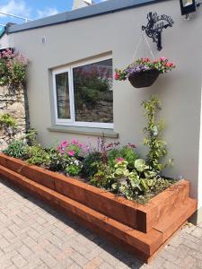 ein erhöhtes Gartenbett mit Blumen und einem Fenster in der Unterkunft Shannon Bridge House in Carrick on Shannon