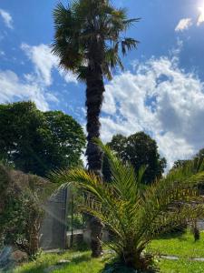 Zahrada ubytování Appartement calme entre Côte Basque et Landes