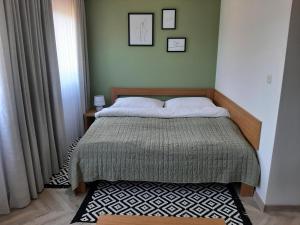 Postel nebo postele na pokoji v ubytování Gray House Apartmán