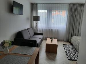 salon z kanapą i krzesłem w obiekcie Gray House Apartmán w mieście Zlaté Hory