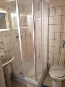 a bathroom with a shower and a toilet at Flamingó Panzió Étterem in Somlójenő