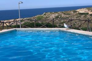 a bird standing next to a large blue swimming pool at Apartamento a estrenar con vistas al mar. in Son Parc