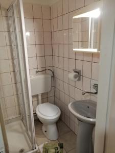 a small bathroom with a toilet and a sink at Flamingó Panzió Étterem in Somlójenő