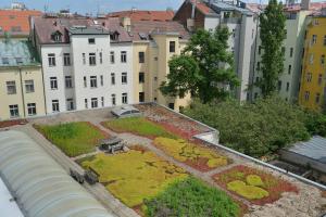 Zahrada ubytování Prague Season Hotel