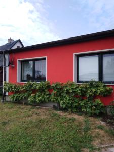 a red house with ivy on the side of it at Ferienwohnung Kathrin Kankel Alt Reddevitz in Middelhagen