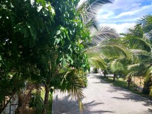 een pad met palmbomen in een park bij Kendall place Apartments in Cagayan de Oro